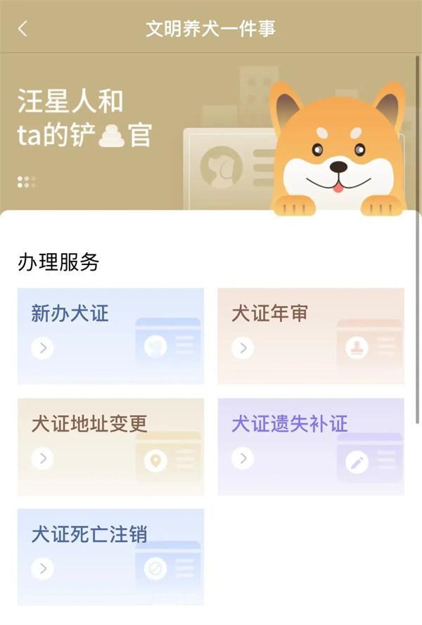 好消息！足不出户，狗狗的事务也能“指尖办理”