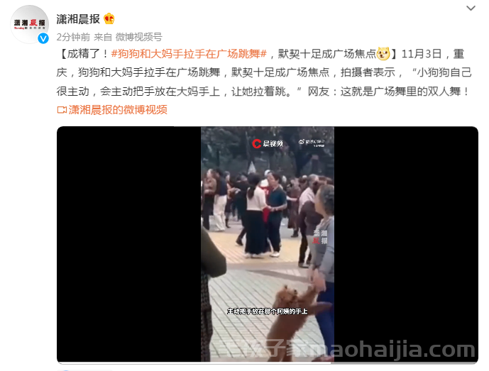 狗狗和大妈手拉手在广场跳舞，默契十足成广场焦点