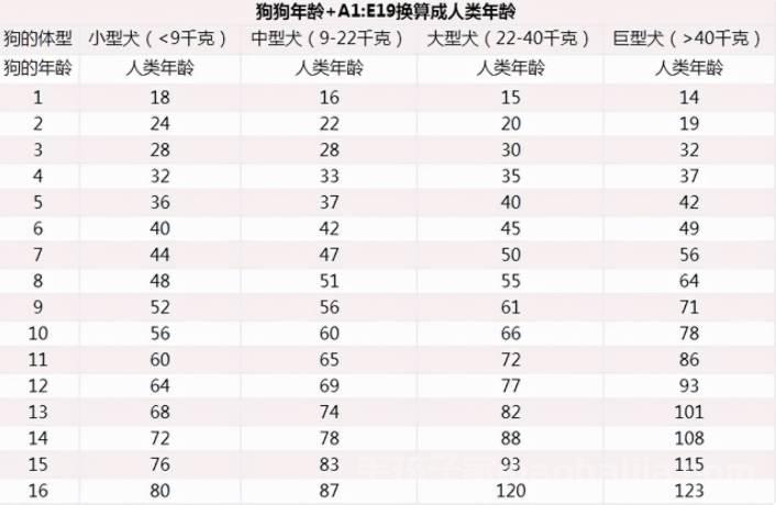 狗狗出现7个特征，说明它已经老了，好好珍惜吧