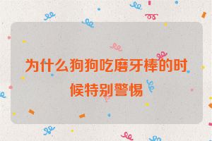 为什么狗狗吃磨牙棒的时候特别警惕
