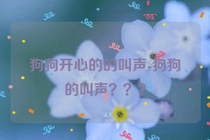 狗狗开心的的叫声-狗狗的叫声？？？