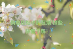 狗瘟和细小的区别 这些你要了解！