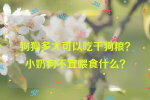 狗狗多大可以吃干狗粮？小奶狗不宜喂食什么？