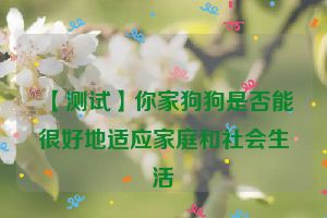 【测试】你家狗狗是否能很好地适应家庭和社会生活