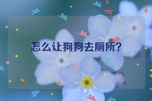 怎么让狗狗去厕所？