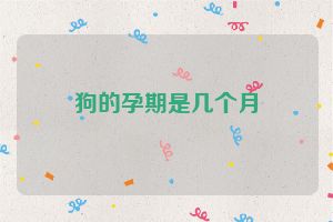 狗的孕期是几个月