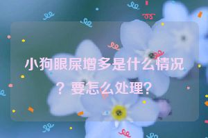 小狗眼屎增多是什么情况？要怎么处理？