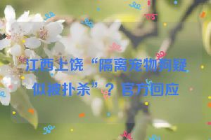 江西上饶“隔离宠物狗疑似被扑杀”？官方回应