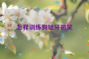 怎样训练狗呲牙微笑