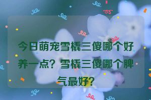 今日萌宠雪橇三傻哪个好养一点？雪橇三傻哪个脾气最好？