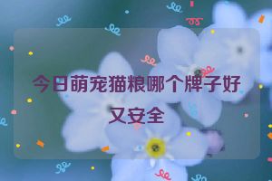 今日萌宠猫粮哪个牌子好又安全