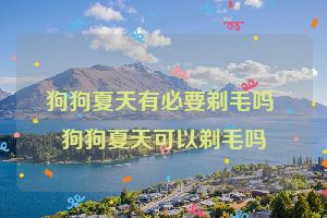 狗狗夏天有必要剃毛吗 狗狗夏天可以剃毛吗