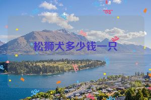 松狮犬多少钱一只