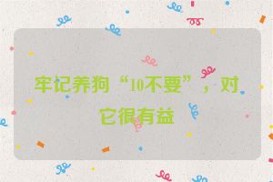 牢记养狗“10不要”，对它很有益