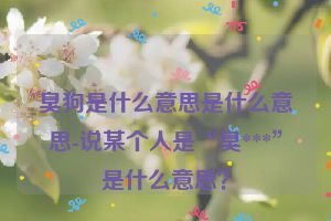 臭狗是什么意思是什么意思-说某个人是“臭***”是什么意思？