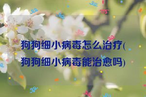 狗狗细小病毒怎么治疗(狗狗细小病毒能治愈吗)