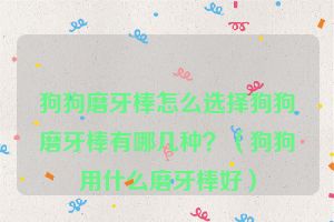 狗狗磨牙棒怎么选择狗狗磨牙棒有哪几种？（狗狗用什么磨牙棒好）