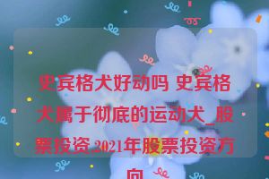 史宾格犬好动吗 史宾格犬属于彻底的运动犬_股票投资,2021年股票投资方向