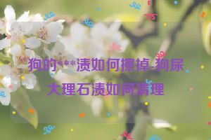 狗的***渍如何擦掉-狗尿大理石渍如何清理