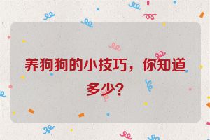 养狗狗的小技巧，你知道多少？