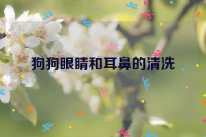 狗狗眼睛和耳鼻的清洗