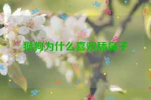 狗狗为什么喜欢舔鼻子