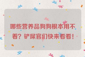 哪些营养品狗狗根本用不着？铲屎官们快来看看！