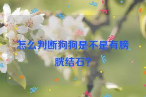 怎么判断狗狗是不是有膀胱结石？