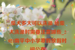 柴犬多大可以洗澡 给柴犬洗澡时需要注意哪些_2021南平中小学寒假放假时间公布