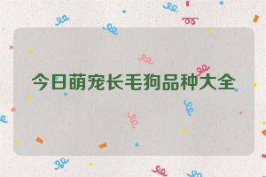 今日萌宠长毛狗品种大全