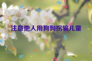 注意他人用狗狗拐骗儿童