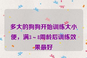 多大的狗狗开始训练大小便，满3～8周龄后训练效果最好