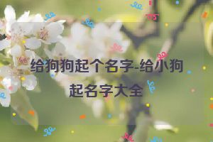 给狗狗起个名字-给小狗起名字大全