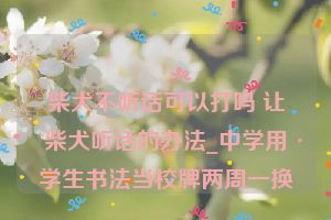 柴犬不听话可以打吗 让柴犬听话的办法_中学用学生书法当校牌两周一换