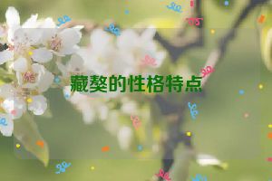 藏獒的性格特点