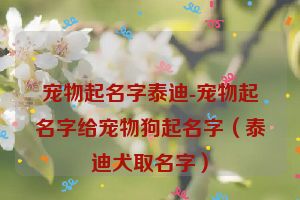 宠物起名字泰迪-宠物起名字给宠物狗起名字（泰迪犬取名字）