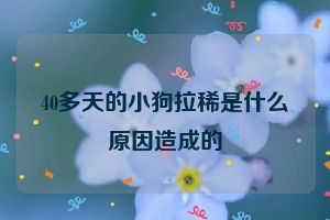 40多天的小狗拉稀是什么原因造成的