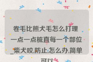 卷毛比熊犬毛怎么打理 一点一点梳直每一个部位_柴犬咬,防止,怎么办,简单,可以