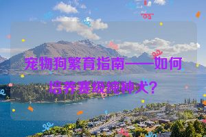 宠物狗繁育指南——如何培养赛级纯种犬？
