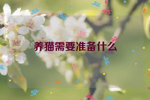 养猫需要准备什么