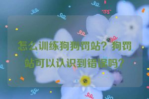 怎么训练狗狗罚站？狗罚站可以认识到错误吗？