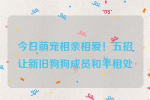 今日萌宠相亲相爱！五招让新旧狗狗成员和平相处