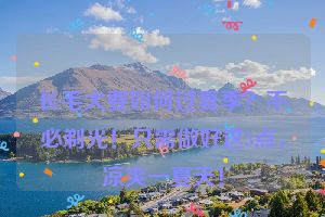 长毛犬要如何过夏季？不必剃光！只需做好这3点，凉爽一夏天！