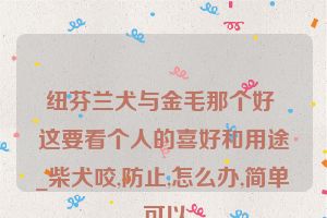 纽芬兰犬与金毛那个好 这要看个人的喜好和用途_柴犬咬,防止,怎么办,简单,可以