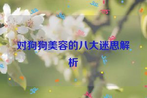 对狗狗美容的八大迷思解析