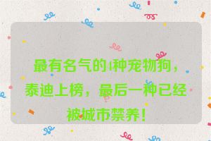 最有名气的4种宠物狗，泰迪上榜，最后一种已经被城市禁养！