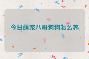 今日萌宠八哥狗狗怎么养