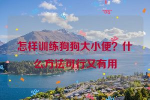 怎样训练狗狗大小便？什么方法可行又有用