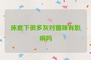 床底下很多灰对猫咪有影响吗