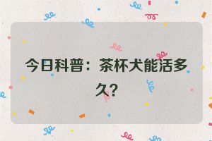 今日科普:茶杯犬能活多久?